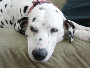 Is this what getting old…is?