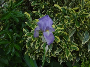 Is there an archive around here?